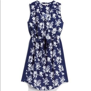 41 Hawthorn Deziree Shirt Dress